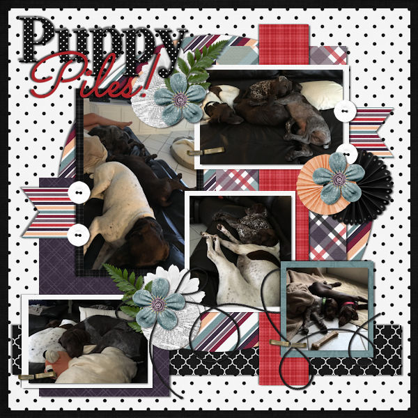 Puppies!