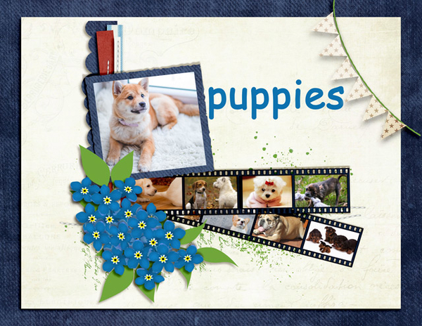 puppies