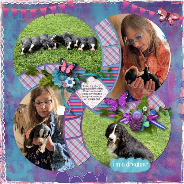 Puppies