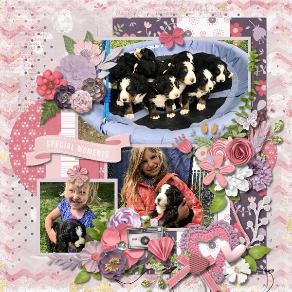 Puppies