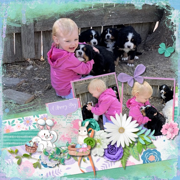Puppies