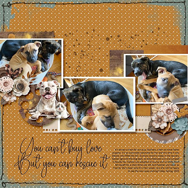 Puppies!!!