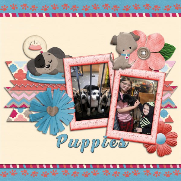 Puppies