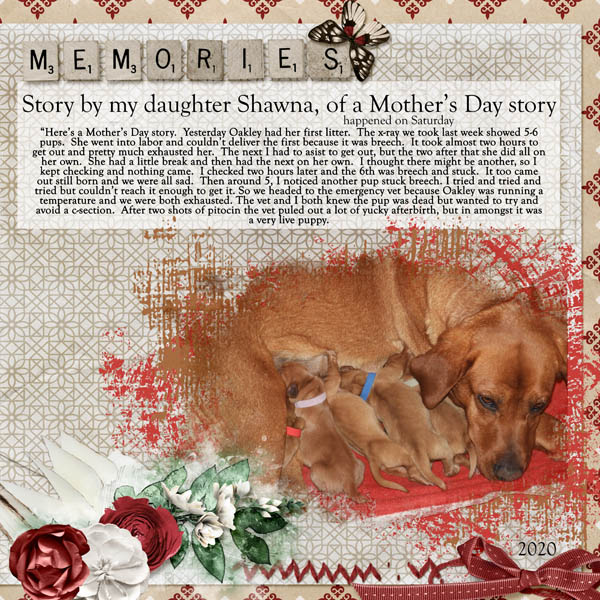 puppies_small