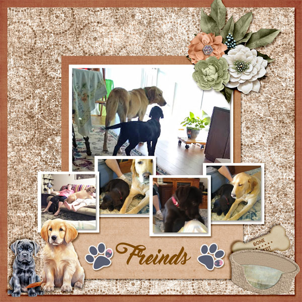 Puppy Friends