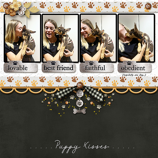 Puppy Kisses