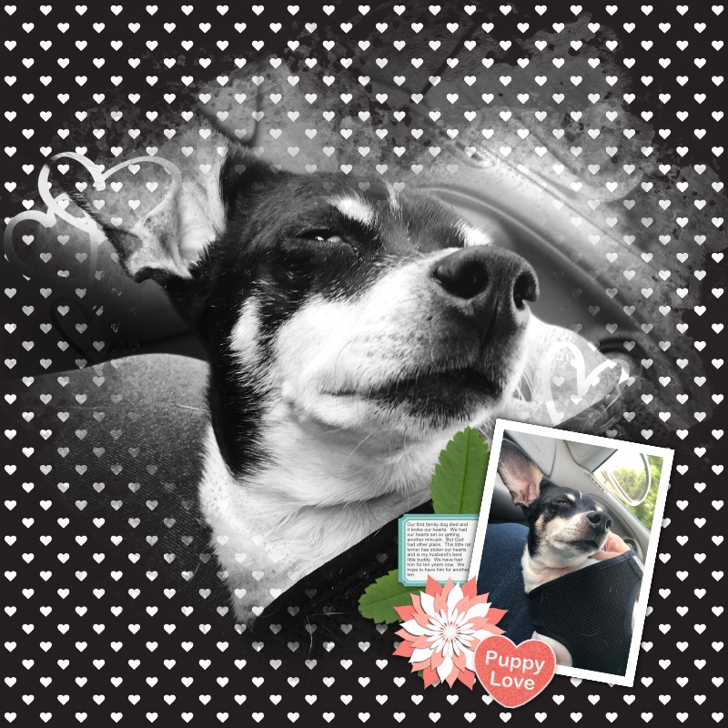 Puppy Love 2