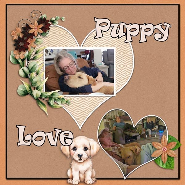 Puppy Love.jpg