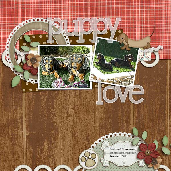 Puppy Love