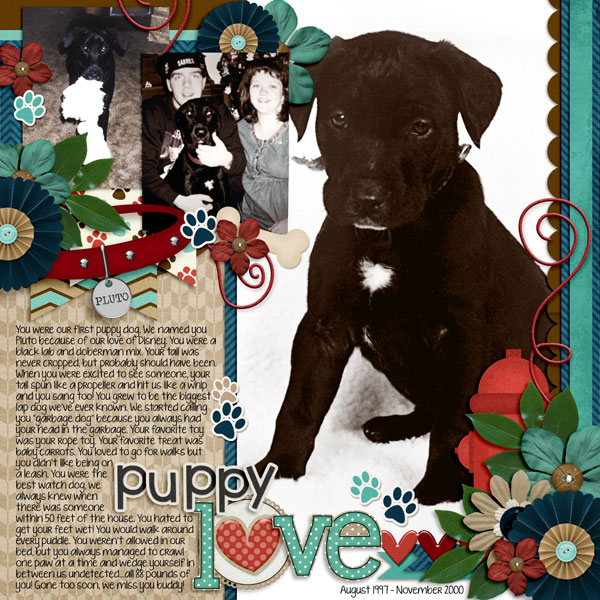 Puppy Love