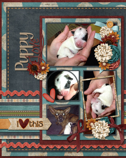 Puppy Love
