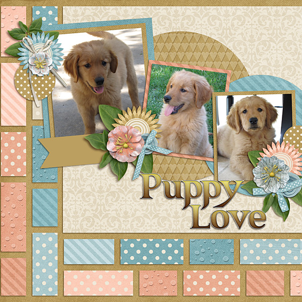 Puppy Love