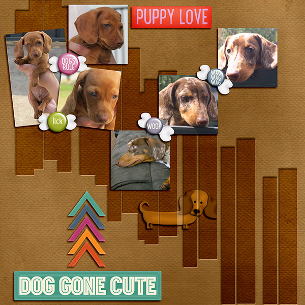 Puppy Love