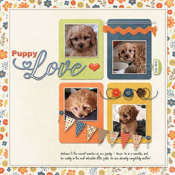 Puppy Love