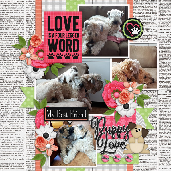 Puppy Love