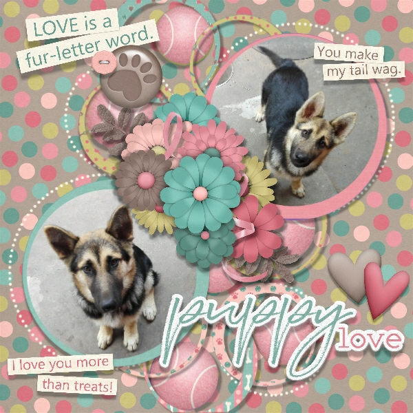 Puppy Love
