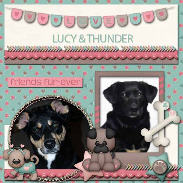Puppy Love!!