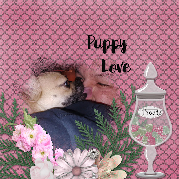 Puppy Love