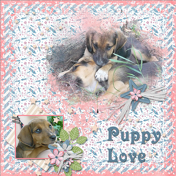 Puppy Love