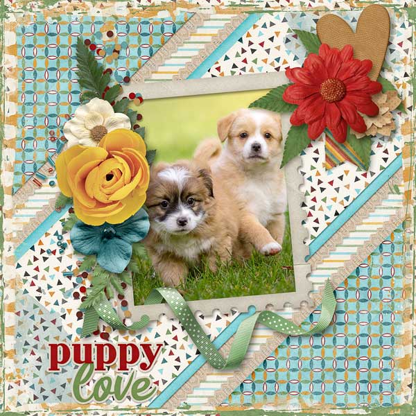 Puppy Love