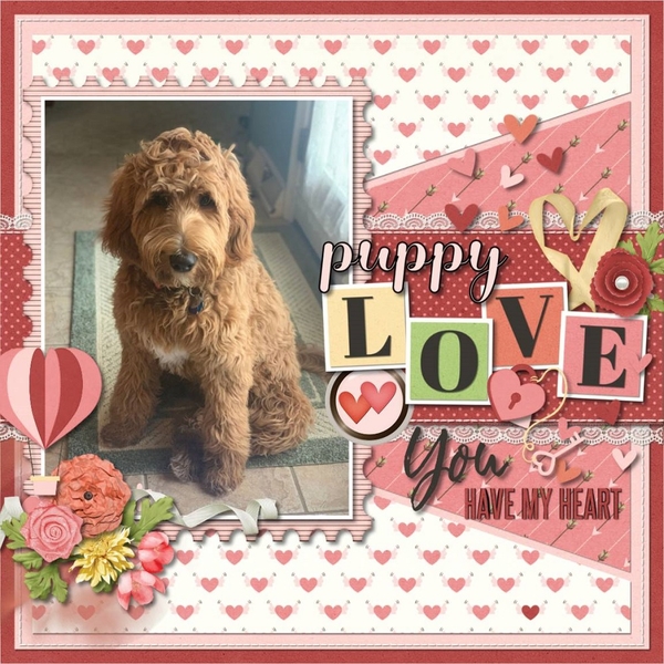 Puppy Love