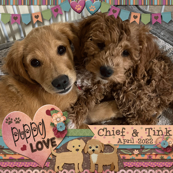 Puppy Love