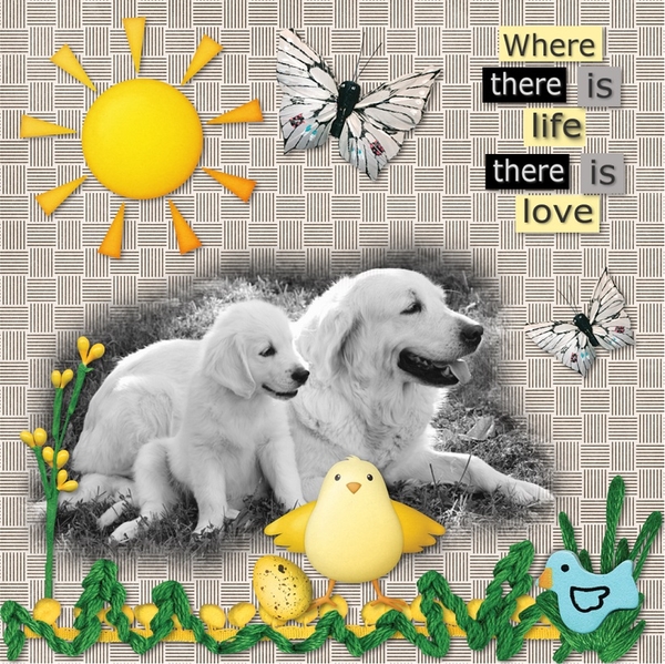 Puppy Love