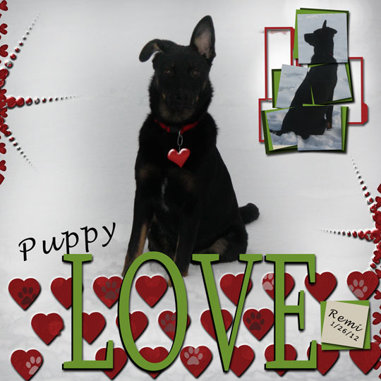 Puppy Love