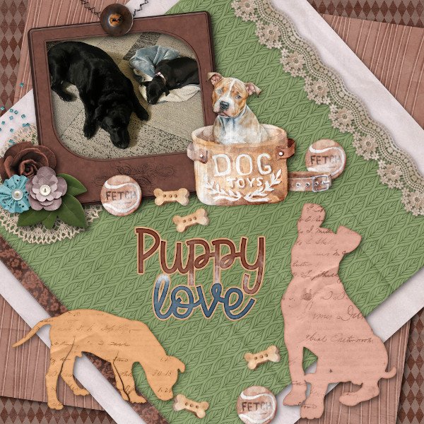 Puppy Love