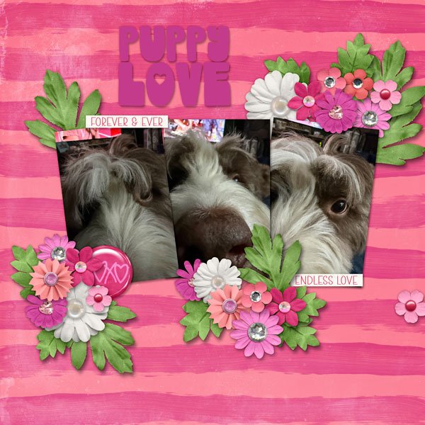Puppy Love