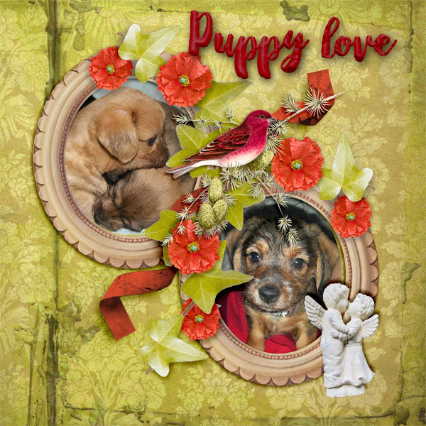 Puppy-love10