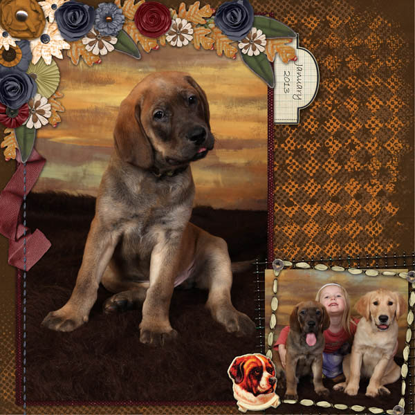 Puppy Rudolph
