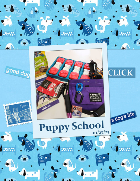 Puppy School
