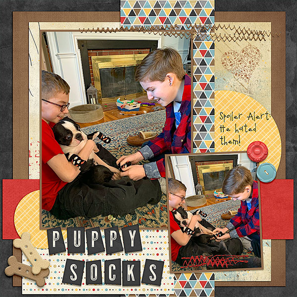 Puppy Socks