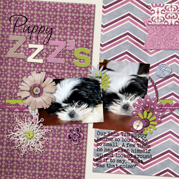 Puppy ZZZ