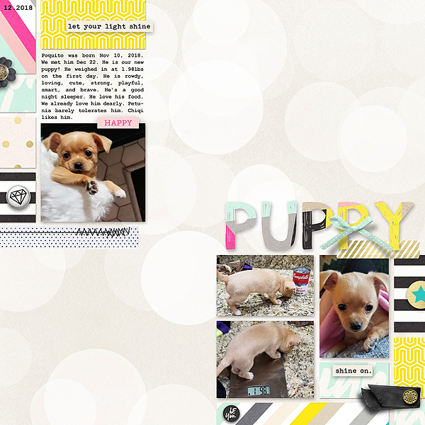Puppy