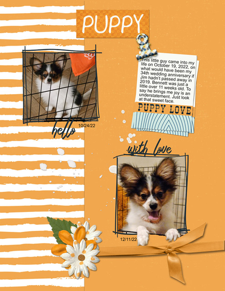 Puppy