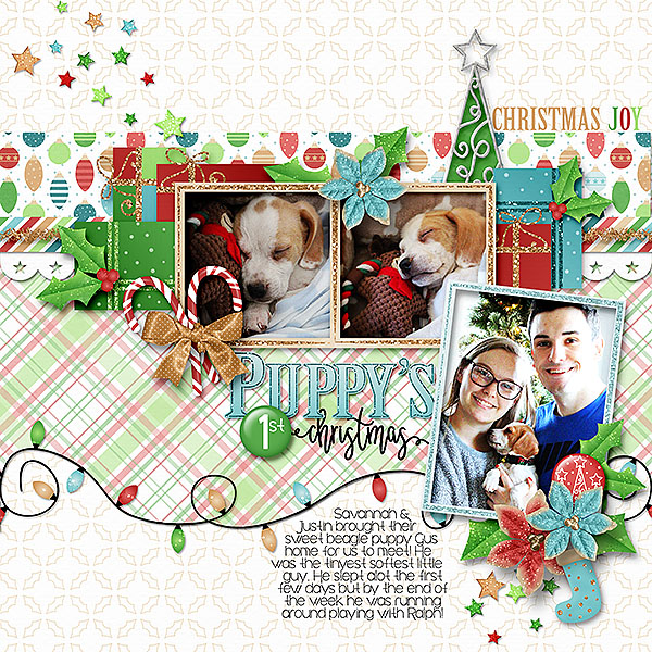 Puppys First Christmas