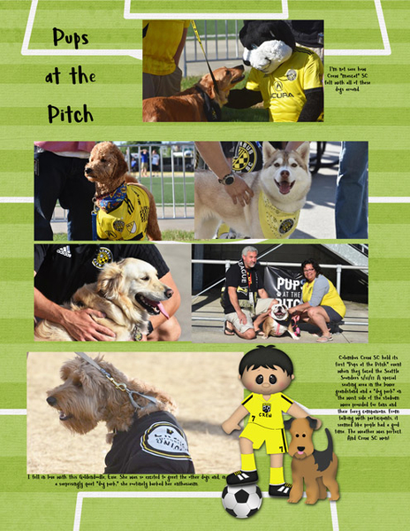 Pups at the Pitch