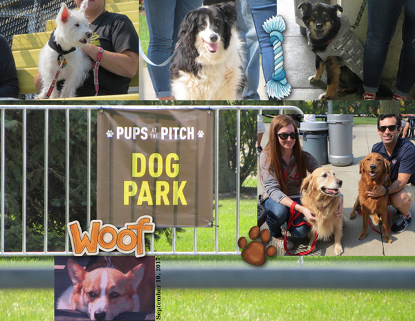 Pups at the Pitch