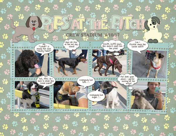 Pups at the Pitch
