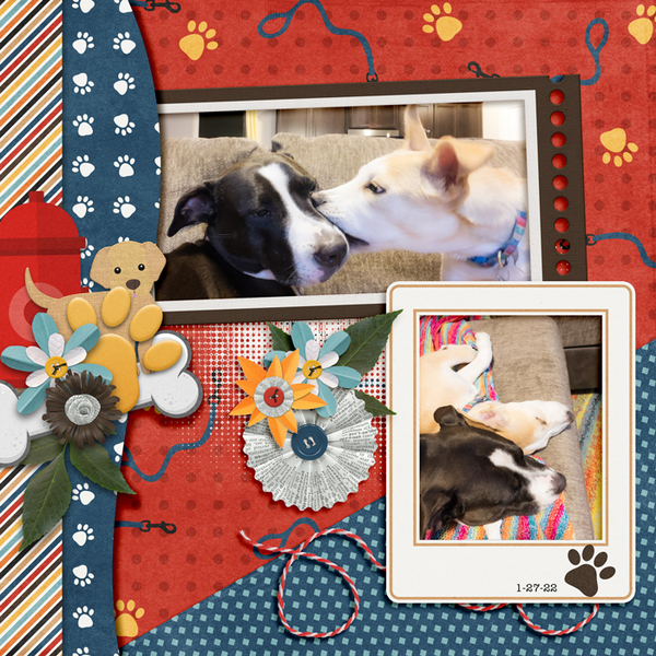 Pups
