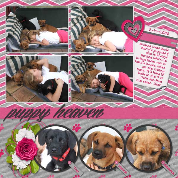 pupy heaven
