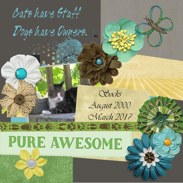 Pure Awesome ~Cats have Staff