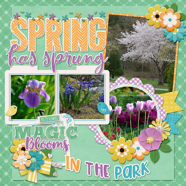 Pure Magic Spring Flowers