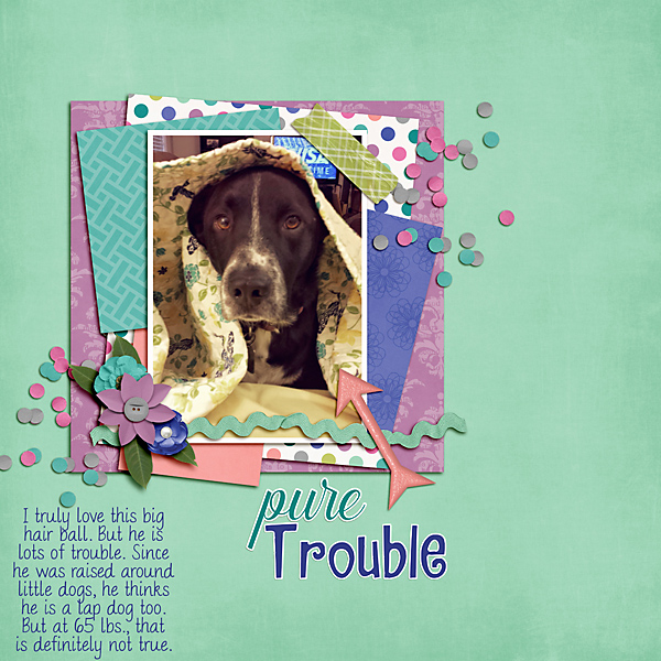 Pure Trouble
