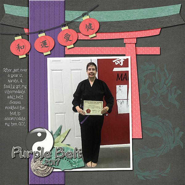 Purple Belt 2017