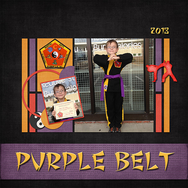 Purple Belt Take Two 2013