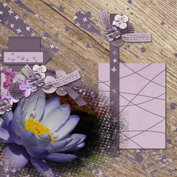 Purple Bloom