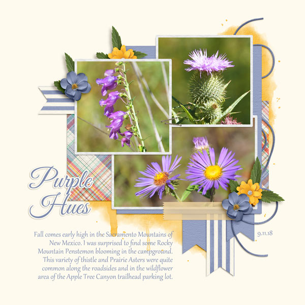 Purple Hues - Sept Temp 2 challenge